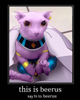 beerus